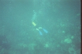 Taylor Scuba Diving 04